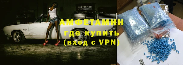 индика Арсеньев