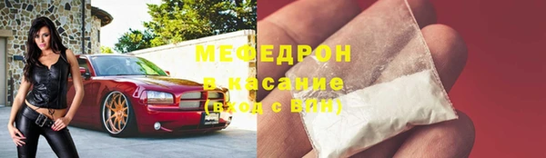 индика Арсеньев