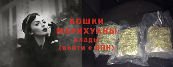 индика Арсеньев