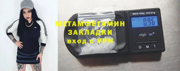 индика Арсеньев