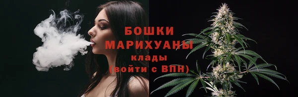 стафф Армянск