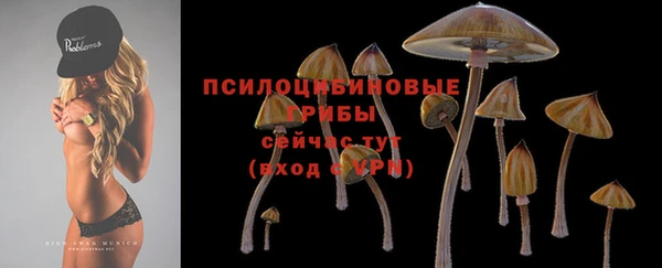 индика Арсеньев