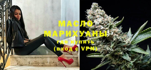 индика Арсеньев
