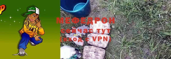 индика Арсеньев