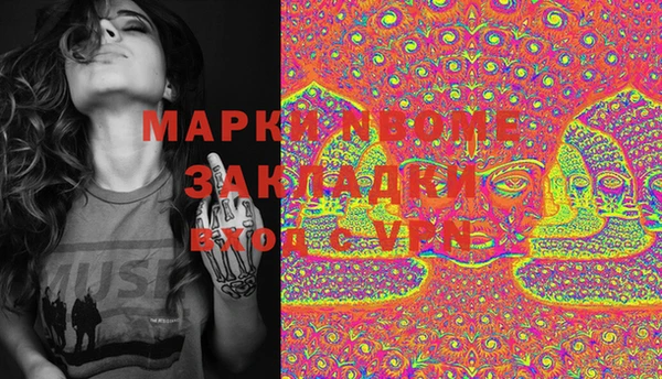 индика Арсеньев