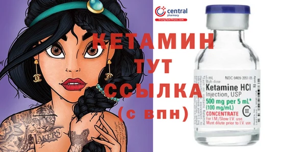 индика Арсеньев
