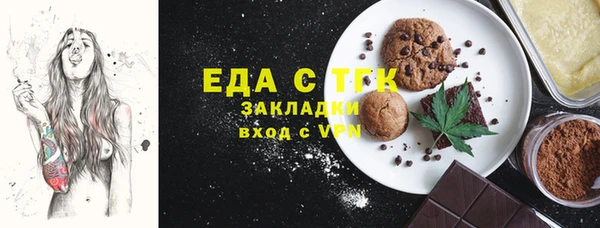 индика Арсеньев
