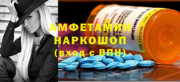 индика Арсеньев
