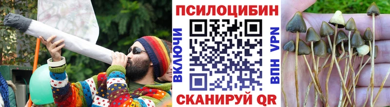 KRAKEN ССЫЛКА  Калач-на-Дону  Галлюциногенные грибы мицелий 
